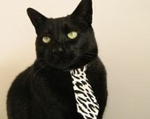 _城市水上运动节：划船、冲浪轮番上演_，水上划船项目