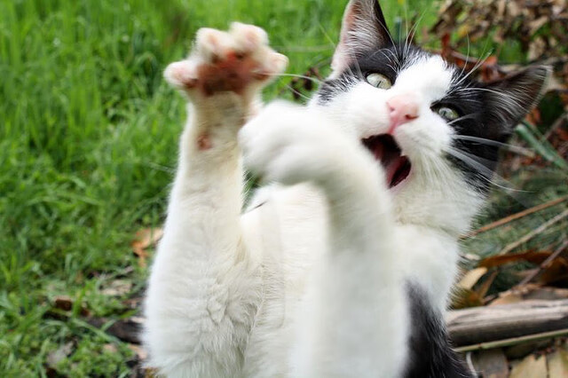 _红土季节：全明星阵容参加各种挑战赛_，红土赛季是什么意思