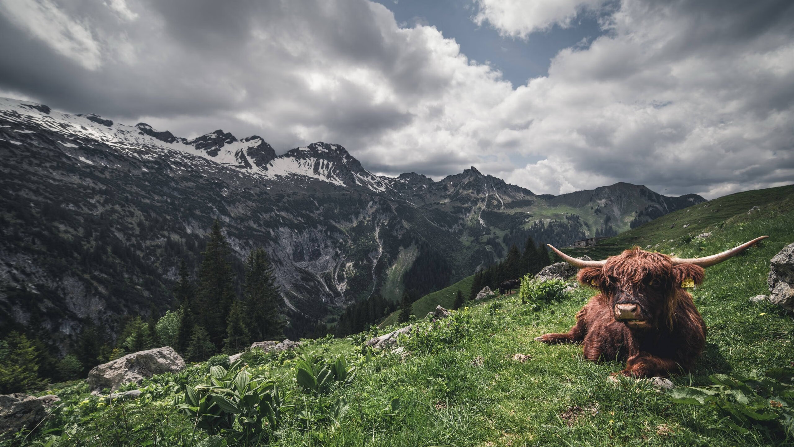 “逆境突围!强队在关键比赛中扭转乾坤”,逆境突围的意思