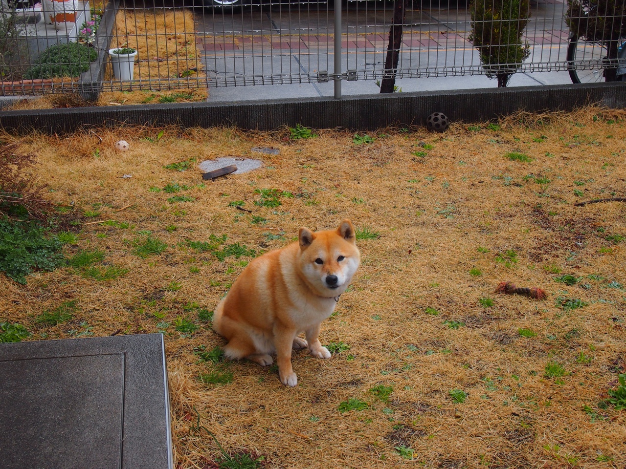 详细阅读:世界足球“梦之队”在欧冠的辉煌时刻,梦之队冠军x球员 世界足球“梦之队”在欧冠的辉煌时刻,梦之队冠军x球员