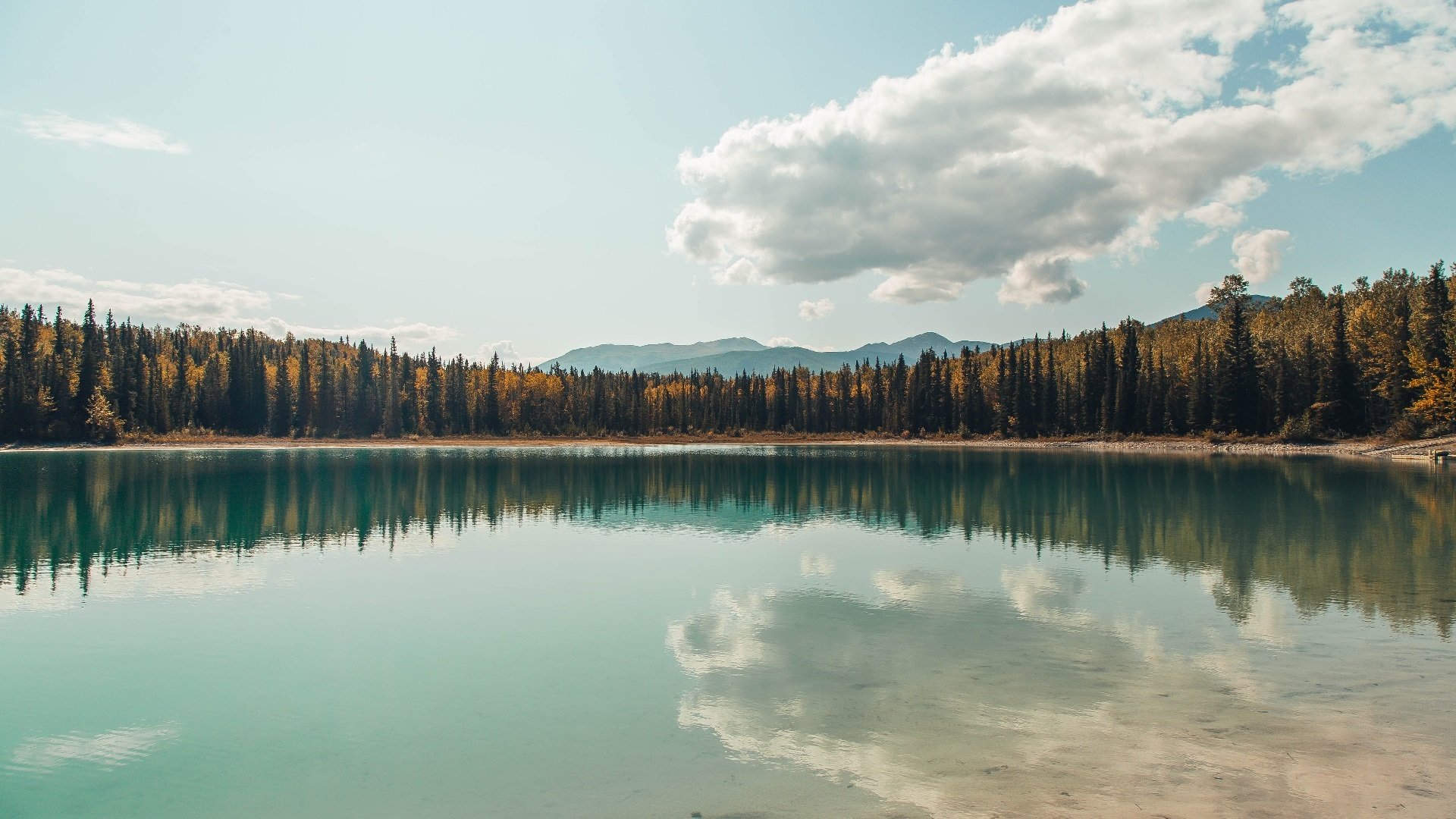 世界跳水系列赛:中国队“梦之队”表现惊艳,中国跳水梦之队奖牌