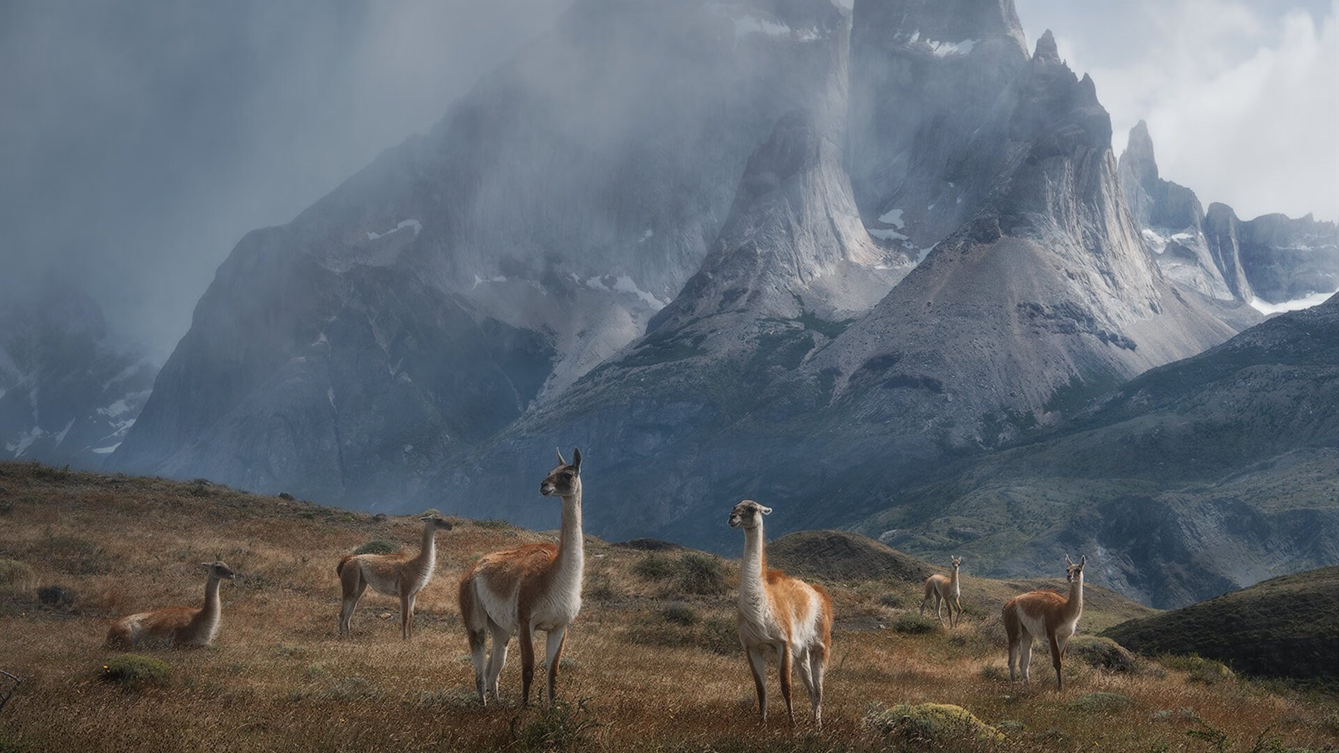 战术改变带来奇迹,专家解析背后奥秘,战术fal