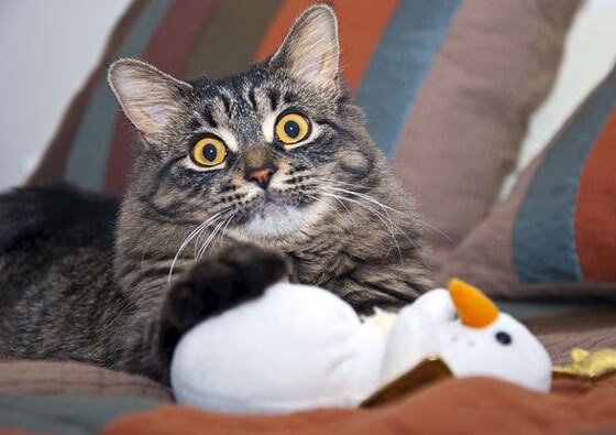 详细阅读:战术方向:两大豪门的布局秘诀曝光! 战术方向:两大豪门的布局秘诀曝光!