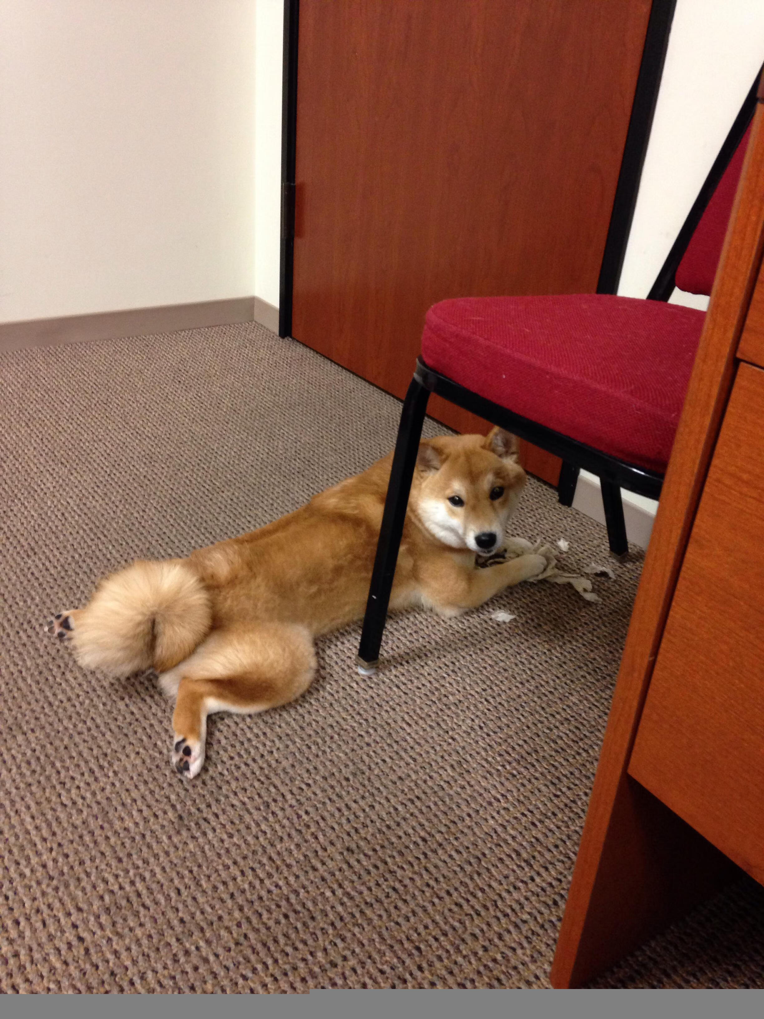 战术方向:两大豪门的布局秘诀曝光!