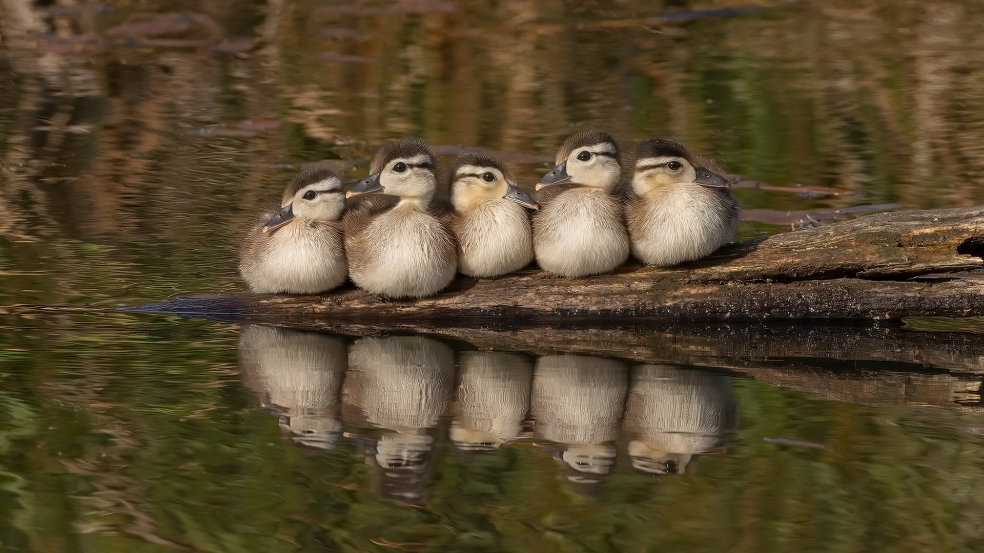 未来策略:全球化、数字化引领联盟变革,2021全球数字化转型