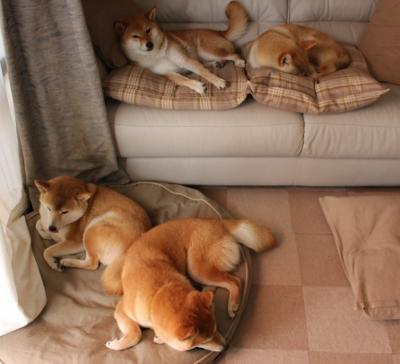 篮球运动员综合体能测试设备普及，篮球运动员测试项目