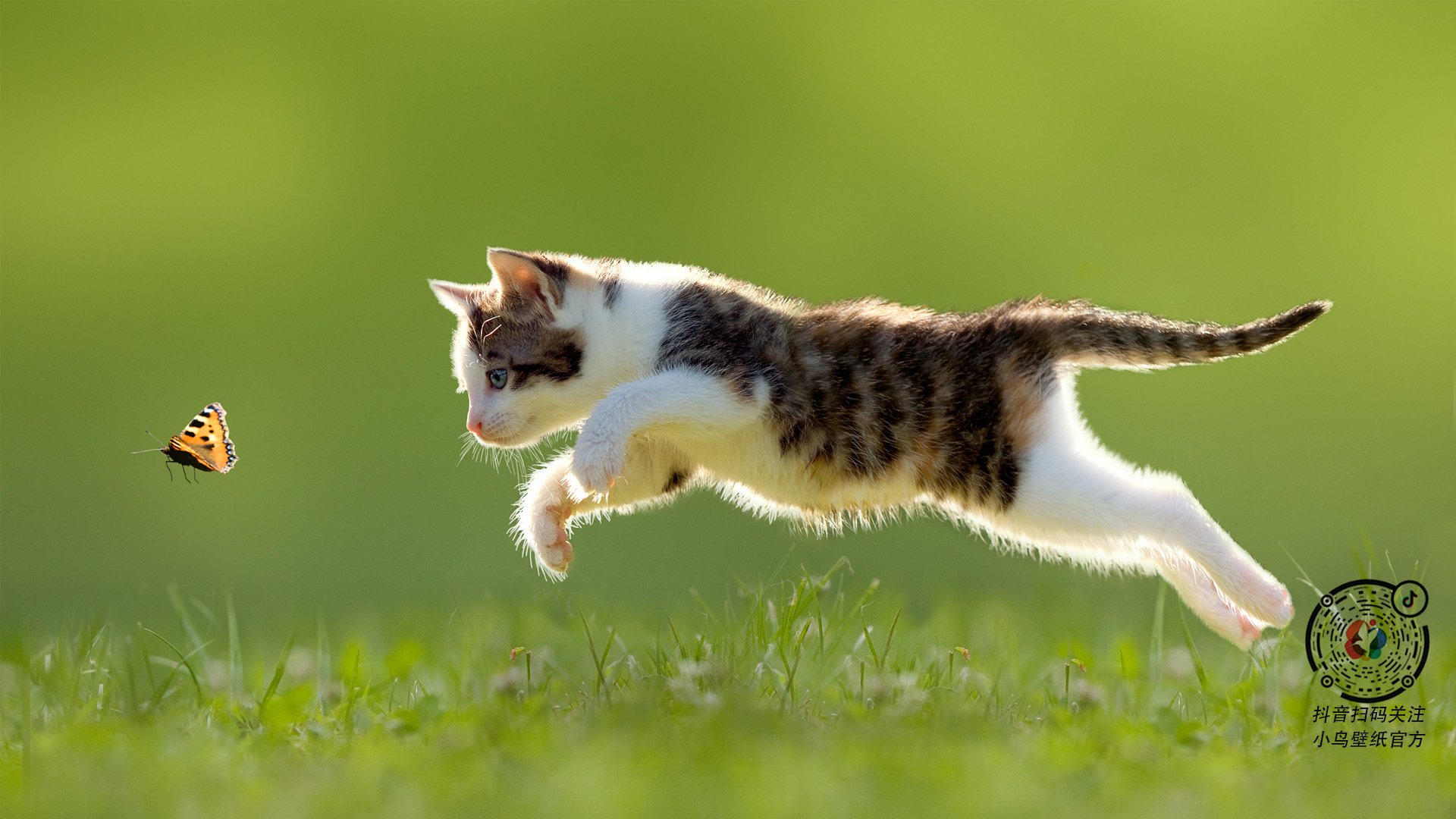 赛季“战术狂潮”：数据分析带来的“新玩法”，战术ai