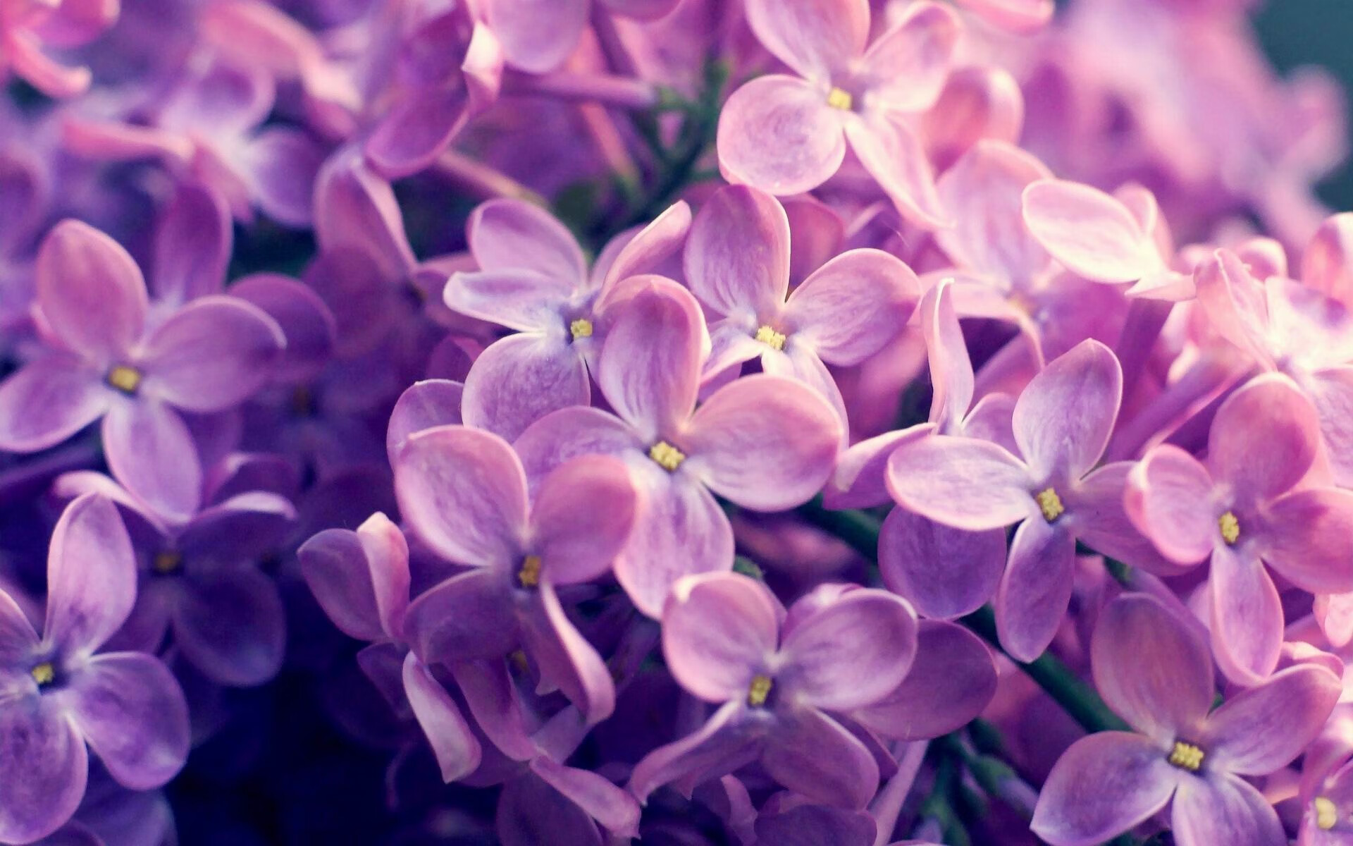 详细阅读:中国足球训练设备现代化升级,中国足球训练营 中国足球训练设备现代化升级,中国足球训练营