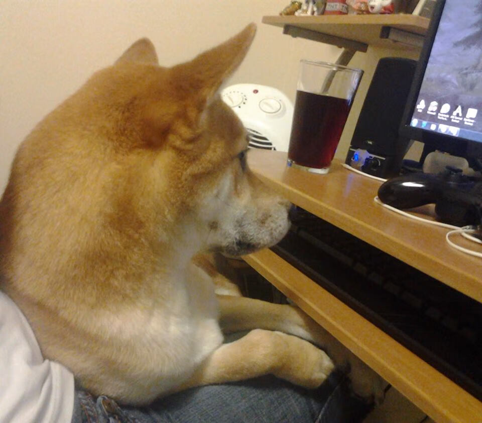 利物浦客场对阵伯恩茅斯，谁能占据上风？，利物浦对伯恩利集锦