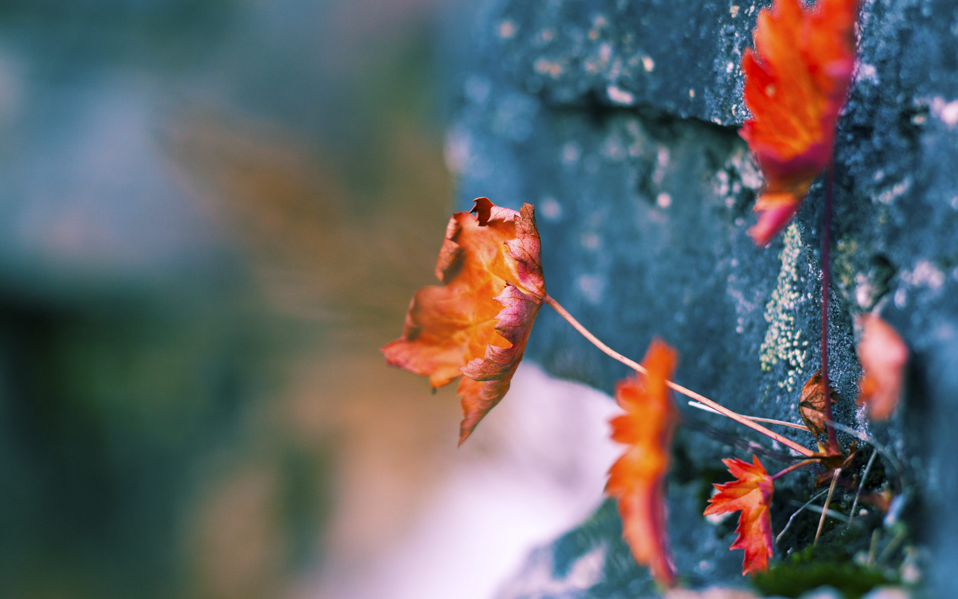 惊险胜局！双方争夺胜利，结果悬念重重，争夺胜负