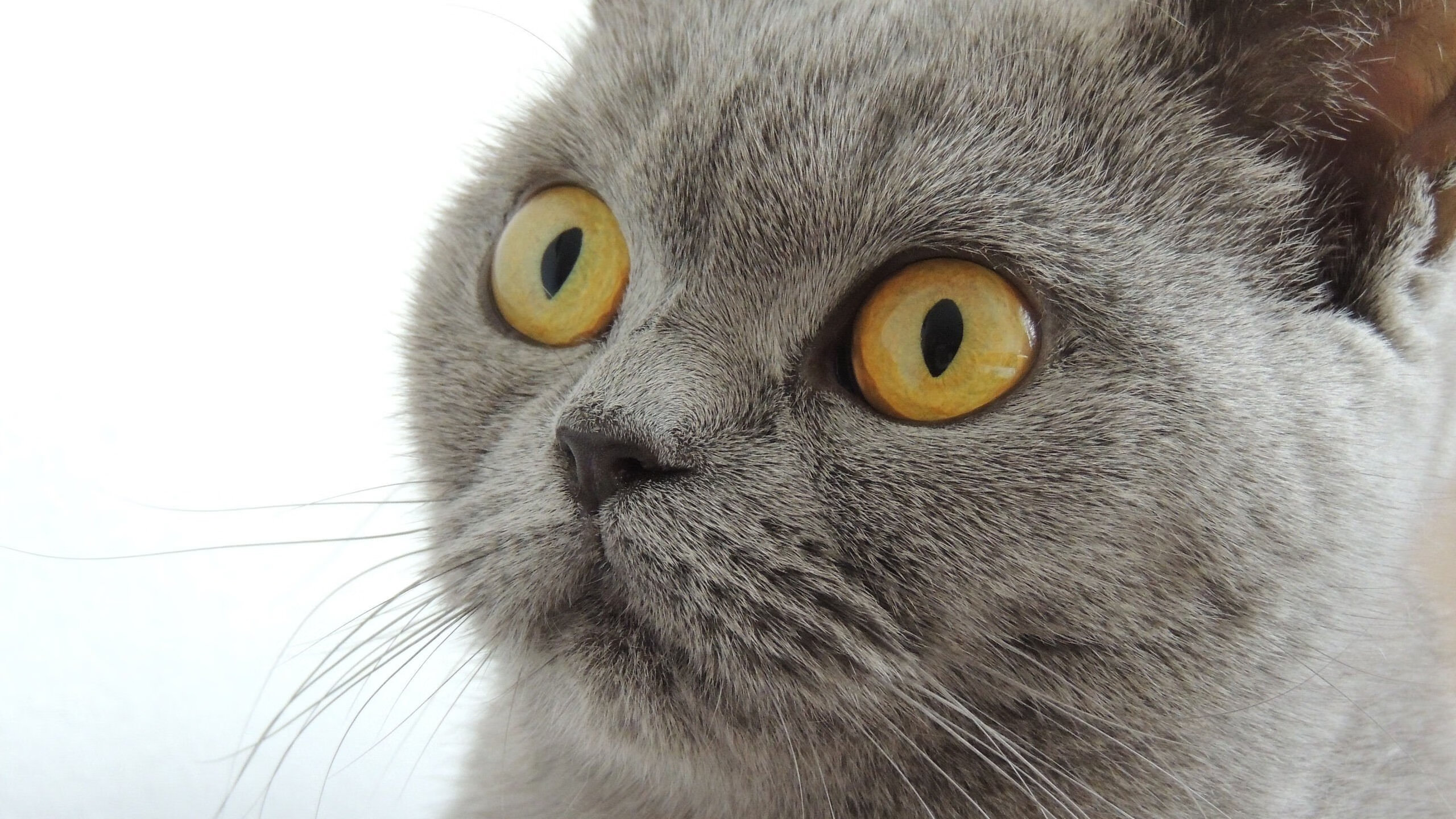 故乡之战备受瞩目,球员斗志高昂,故乡之路简谱