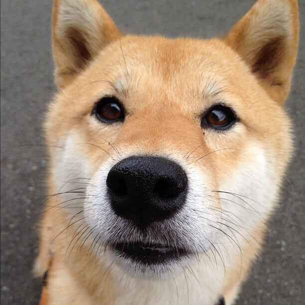 敌强我更强:比赛场上的擦枪走火,敌强我弱用什么战术