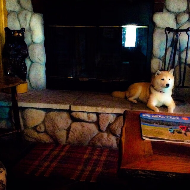 电竞主播内容创新与粉丝互动提升的多元化路径研究，电竞主播的看法