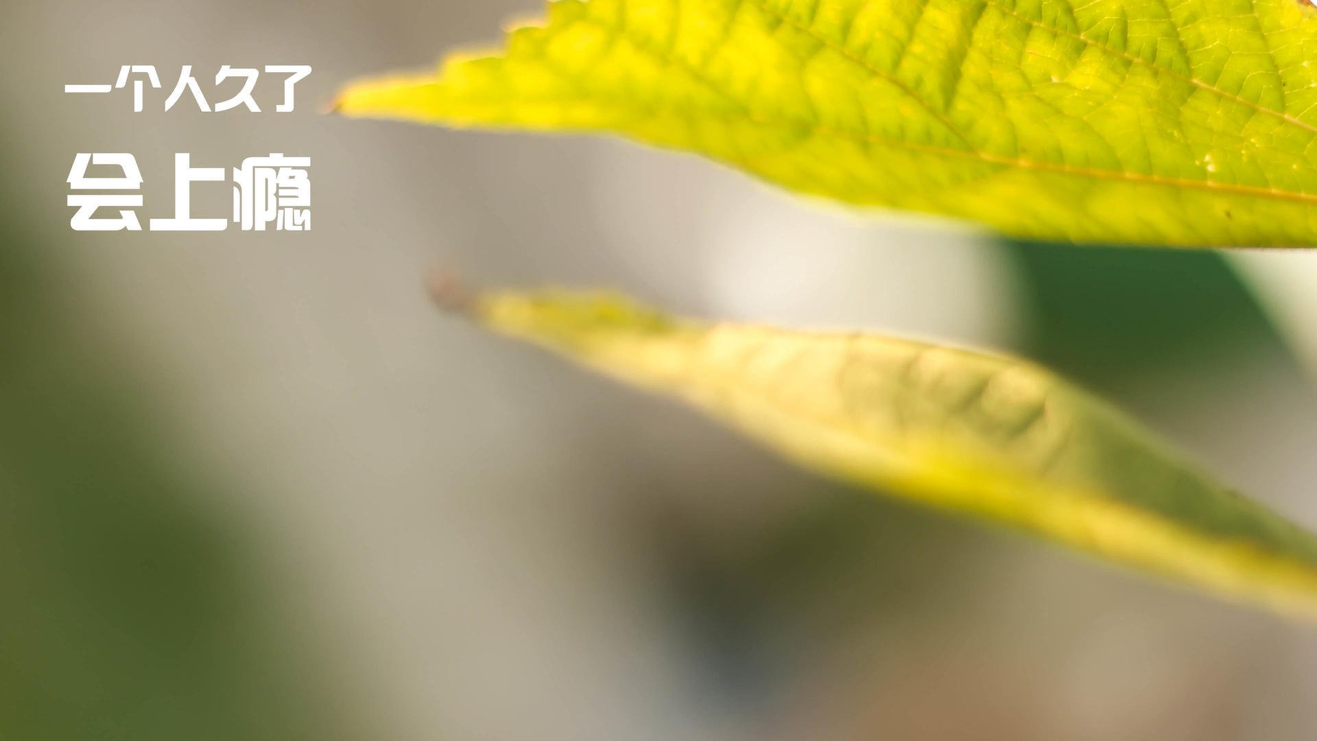 意甲球队结合视觉模拟与数据建模优化守转攻效率,意甲专家分析