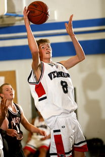 青少年篮球运动员伤病防护与康复管理，篮球运动员运动损伤的类型