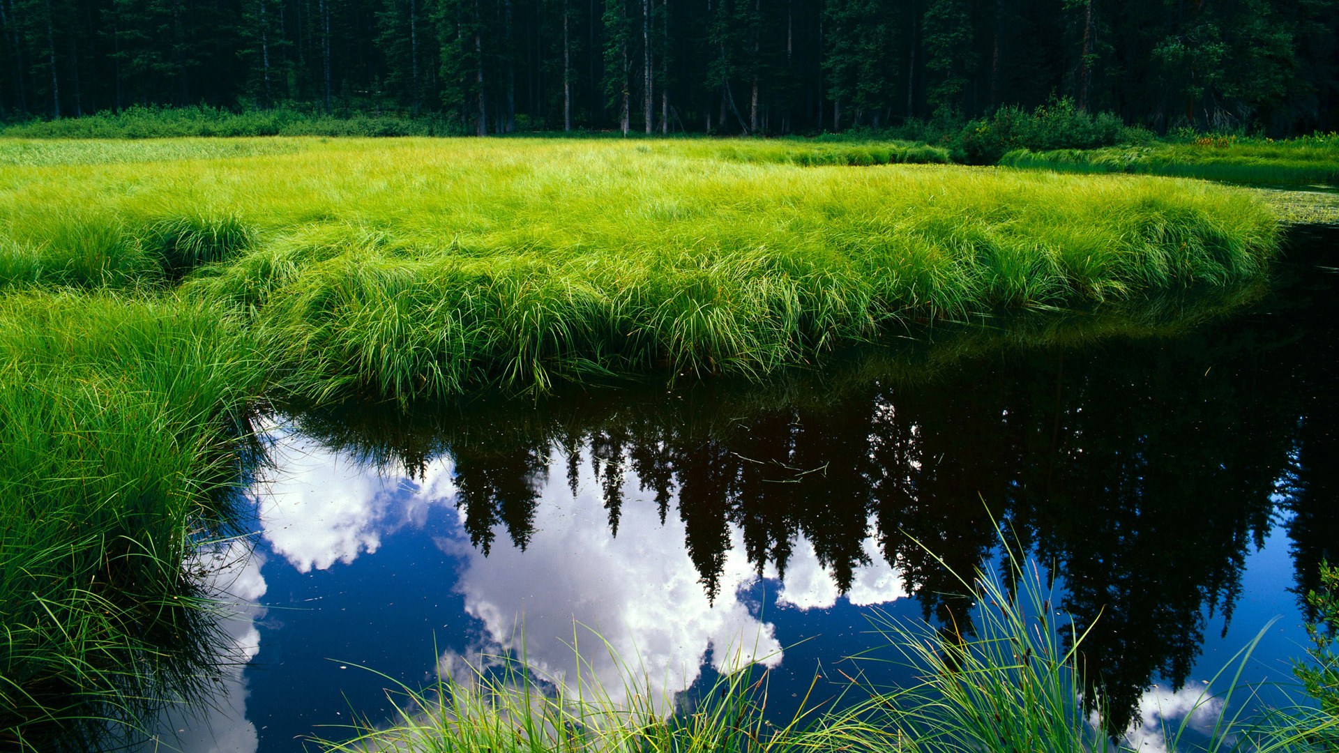 中国男篮海外拉练期间全胜 士气高涨，海外打球的中国篮球