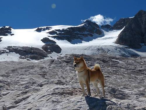 体育新闻中心联合智库发布年度体育传播影响力榜单，体育新闻杂志