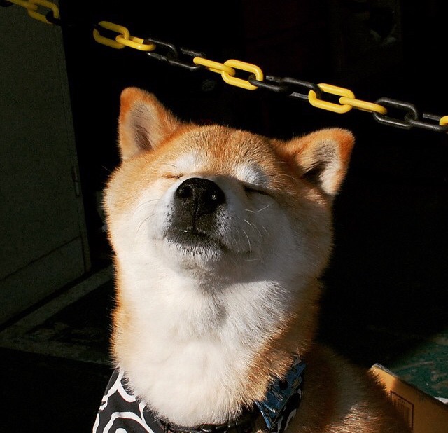 门将逼抢失误遭断球破门,门将开球直接破门视频