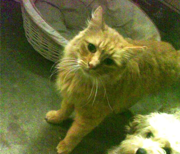 奇才关键失误葬送好局主帅表示遗憾,奇才是谁