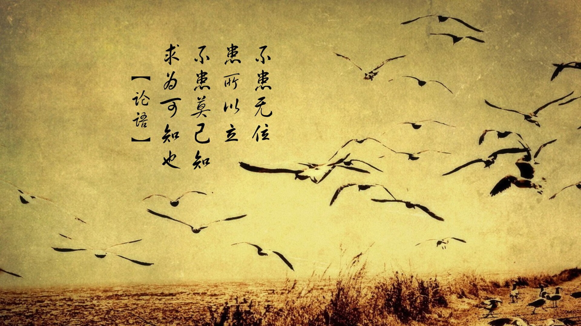 巴西队在南美预赛中占据领先位置