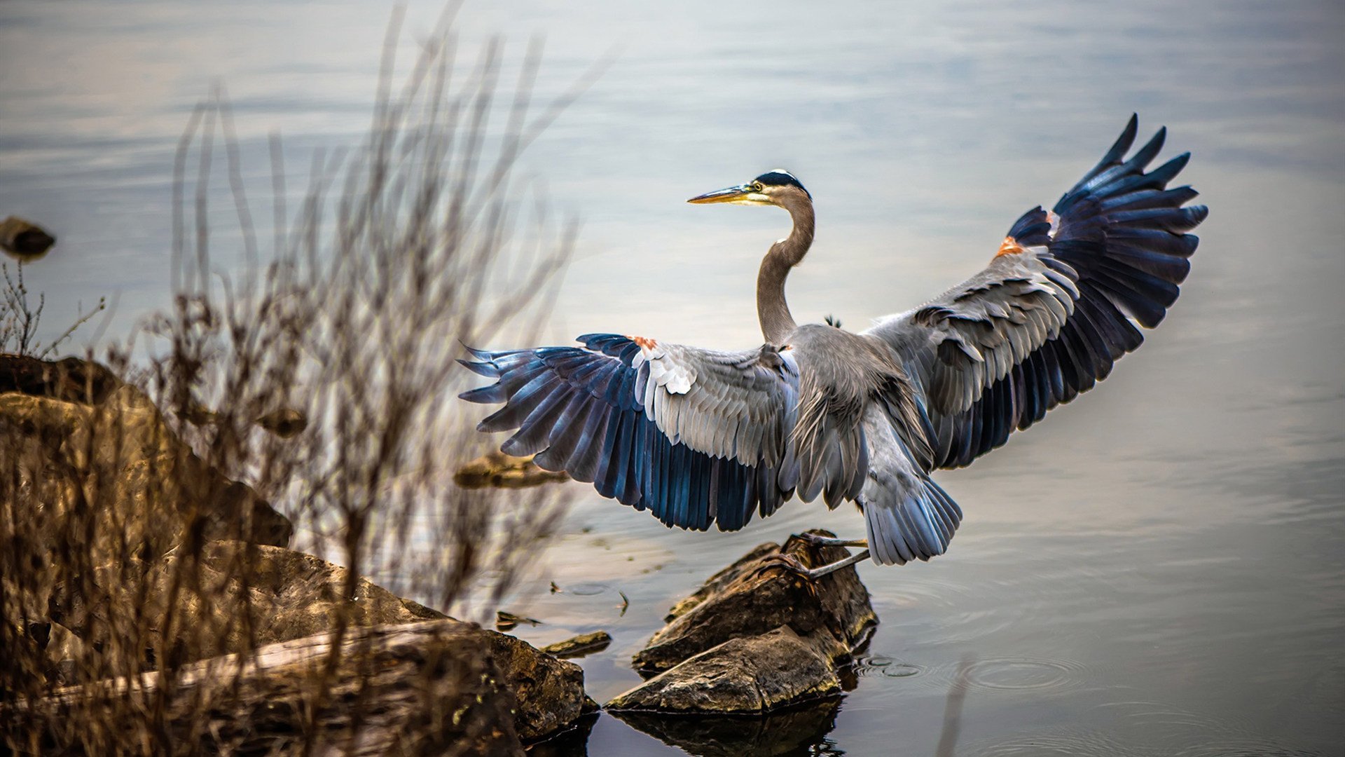 欧洲杯战术奇兵：布局巧妙引领胜利！，欧洲杯战术机位